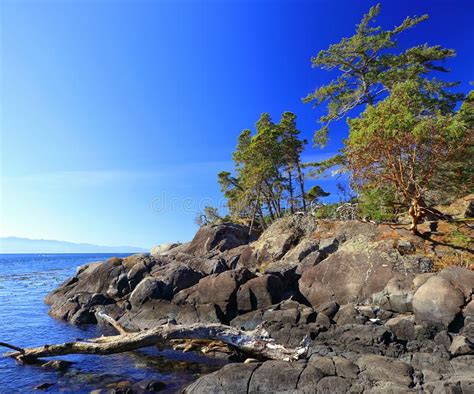 Vancouver Island Bc Petroglyph Point On Coast Of Juan De Fuca Strait