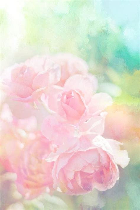Pink Roses Photo Pastel Flower Digital Download Nursery
