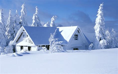 49 4k Winter Wallpaper Wallpapersafari