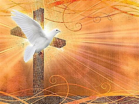 Holy Spirit Christ Spirit Jesus Gospel Pentecostes Cross 800x600