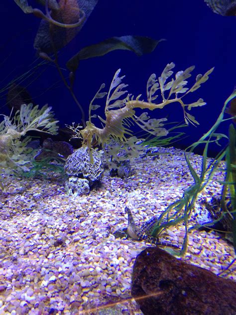 2001 w valley blvd (raymond) alhambra, ca 91803 stati uniti. Pin on california