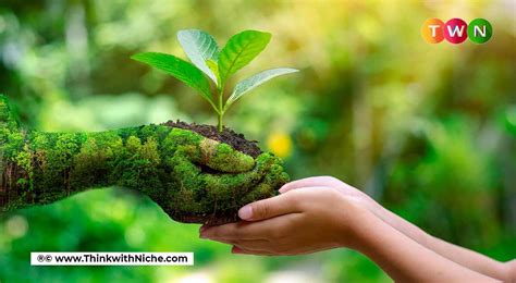 Its High Time We All Adopt A Sustainable Lifestyle Here Are 6 Easy