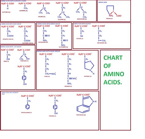 Shelford Tutorials Classification Of Amino Acids