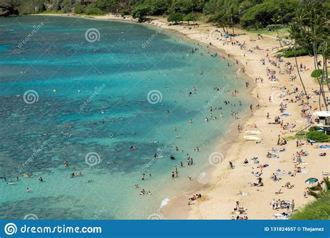 We did not find results for: Hanauma Bay State Park - Oahu Hawaii - Busy, Crowded Beach ...