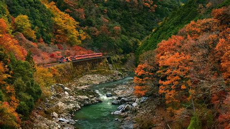 Train Between Fall Foliage Forest Mountain And River Hd Nature