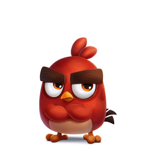 Incredible Compilation Of Full 4K Angry Bird Images Over 999
