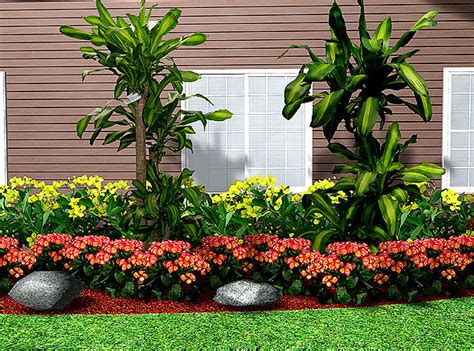 Popular Landscaping Plants Create A Front Yard That Will