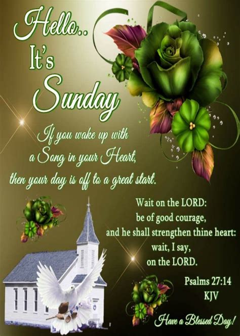 Sunday Blessings Sunday Morning Wishes Sunday Greetings Good Morning