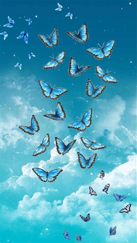 Royal Blue Cute Blue Butterfly Wallpaper Download Fre