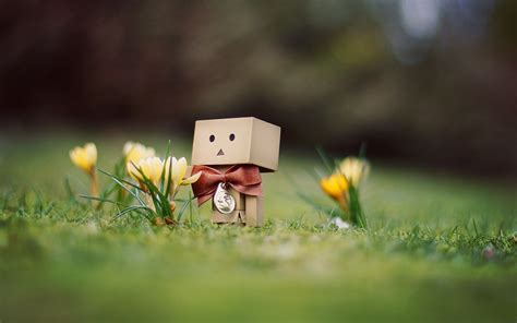 Danbo Pkmnkats Hobbies Wallpaper 25083724 Fanpop