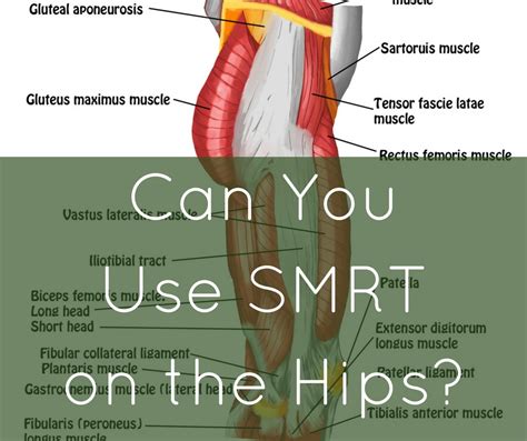 Smrt On The Hips Spontaneous Muscle Release Technique