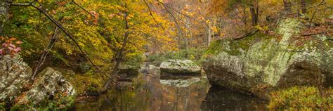 Check spelling or type a new query. Western Shawnee National Forest Cabins - Southern Illinois ...