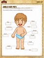 Jumbled Body Parts View – Worksheet Different Parts of Body – SoD