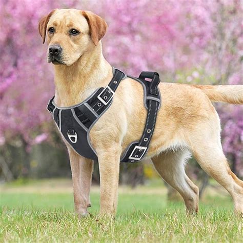 Idepet No Pull Dog Harness With Handle Adjustable Reflective Pet