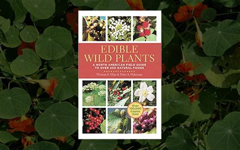 Edible Wild Plants A North American Field Guide To Over 200 Natural