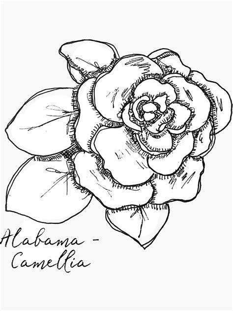 Alabama Camellia State Flower Illustration Sticker By Journeyhomemade