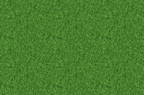 Photoshop Grass Texture Seamless Forestbery
