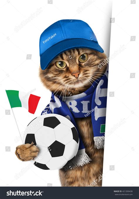 Funny Cat Soccer Ball On White Stock Photo 421399438 Shutterstock