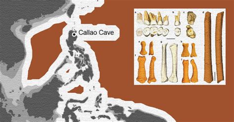Homo Luzonensis Digging Into The Story Of Our Fossilized ‘cousins