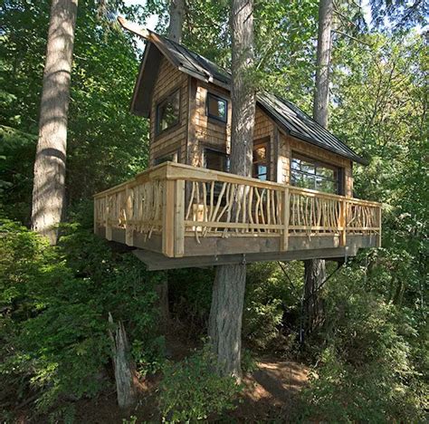 Eagles Bluff Treehouse TINY HOUSE TOWN