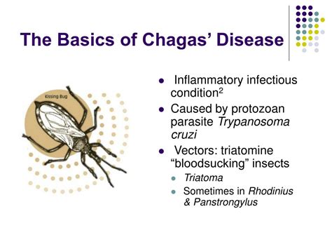 PPT Chagas Disease American Trypanosomiasis PowerPoint Presentation