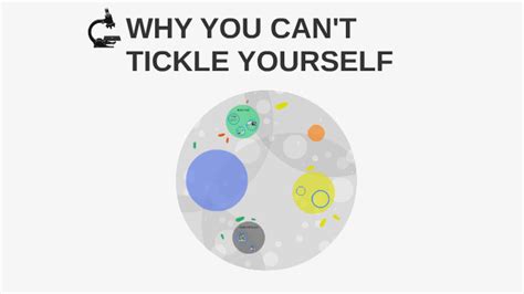 Why You Cant Tickle Yourself By Ginny Li