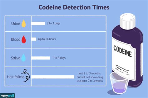 How Long Does Codeine Stay In Your System