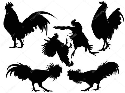 Gallo Polla Pollo Silueta Vector Conjunto 2022