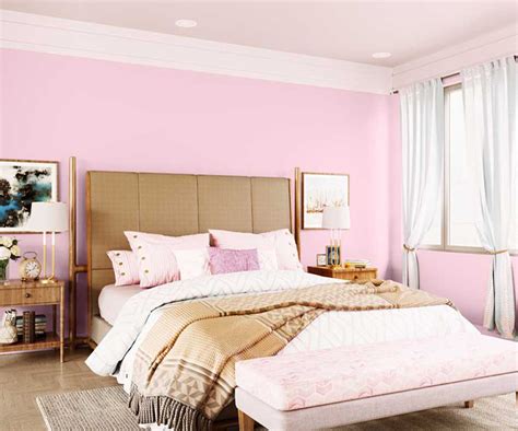 Try Baby Blush House Paint Colour Shades For Walls Asian Paints
