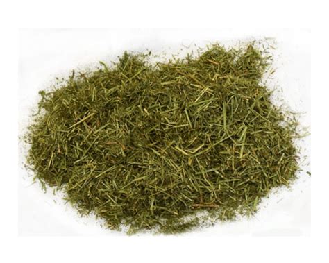 Green Meadows Alfalfa Forage Hay 50 Lbs Tyrone Milling Inc