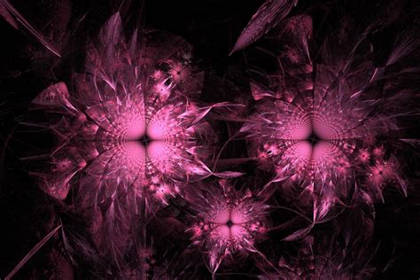 Pink Fractal Flowers By Recycledrelatives On Deviantart