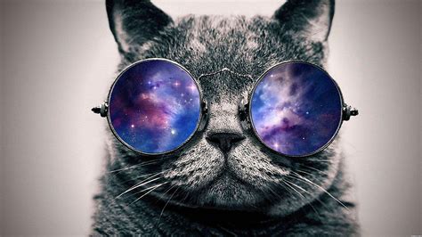 Hipster Galaxy Cat Wallpapers Top Free Hipster Galaxy Cat Backgrounds