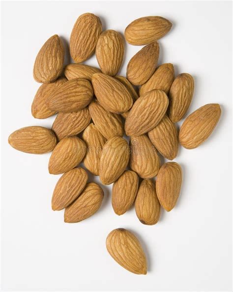 One Ounce Almonds Stock Photos Free And Royalty Free Stock Photos From