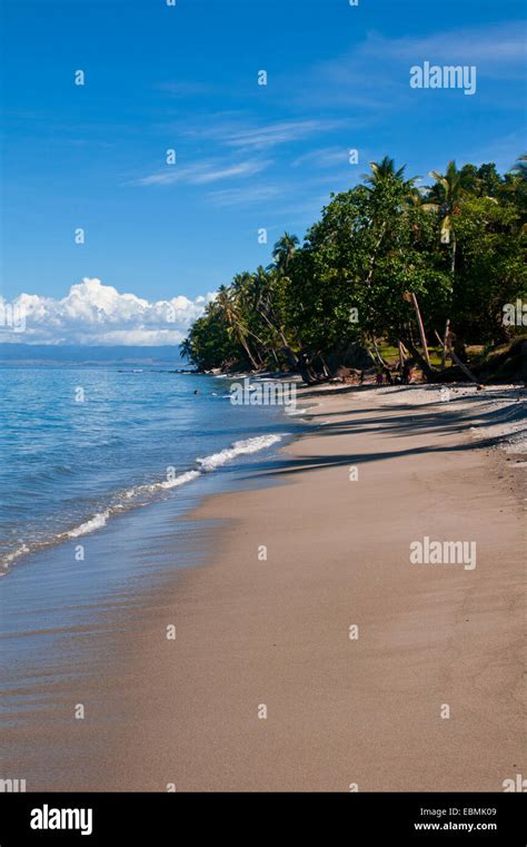 Sandy Beach Savo Island Central Province Solomon Islands Stock Photo