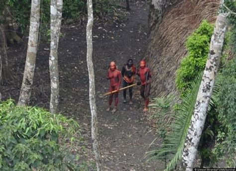 new photos of an uncontacted amazon tribe may save their lives here s why barnorama