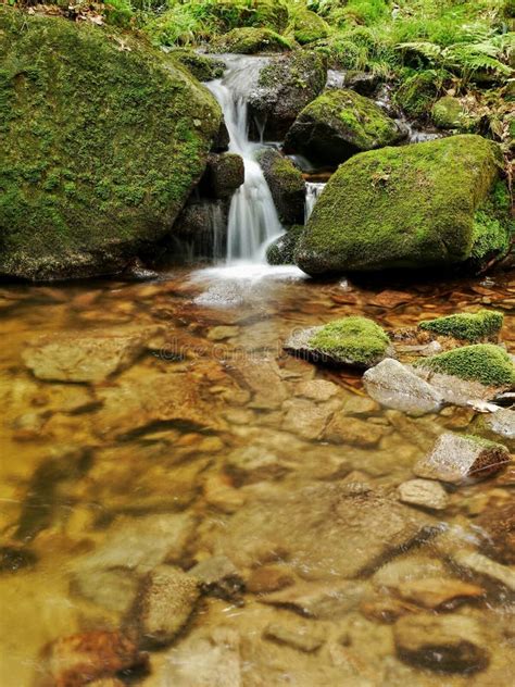Waterfall With A Lagoon On Mountain Stream Stock Image Image Of