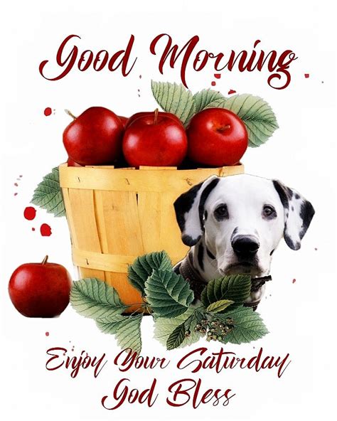 Good Morning Everyone Happy Saturday I Pray That You Have A Safe