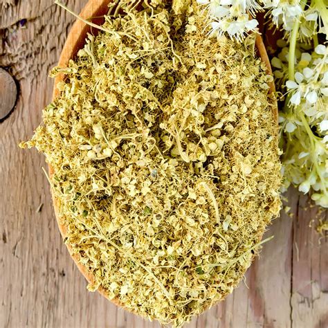 Meadowsweet Dried Meadowsweet Herb Tinderbox