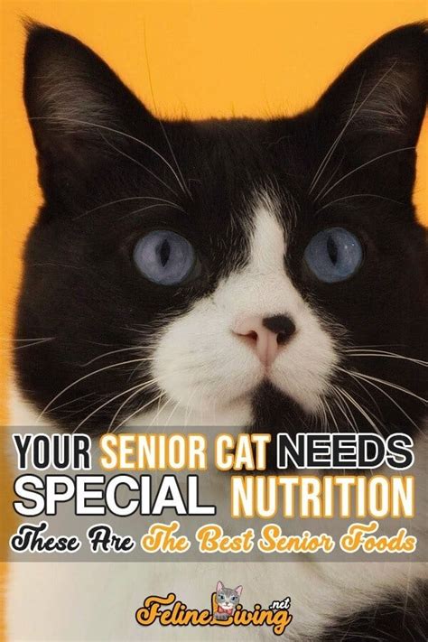 When deciding how much to feed your cat, you'll have to consider his breed, age, reproductive status how much should you feed your senior cat? Top 5 Best Senior Cat Foods 2019 Buyer's Guide & Reviews