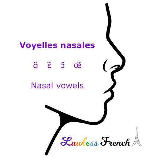 French Nasal Vowels