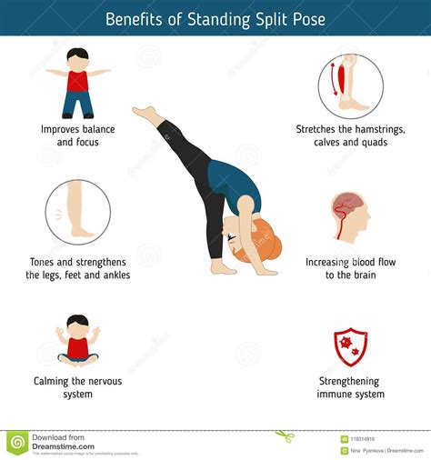 Infographics Of Yoga Pose Stock Vector Illustration Of Asana 118314916
