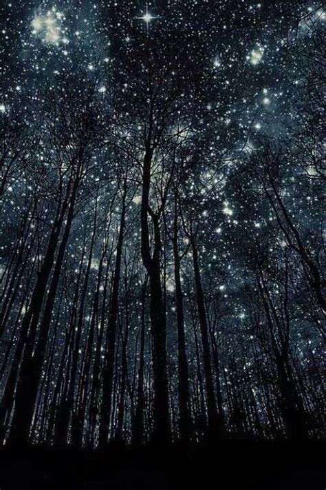 Un Bosque De Estrellas Todo Para Ti Marian Porque Eres Una De Ellas Te