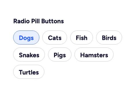 Radio Pill Buttons Free Webflow Component