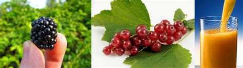 Check spelling or type a new query. Tooth Extraction Care, Speed Recovery, Caring for Your Mouth