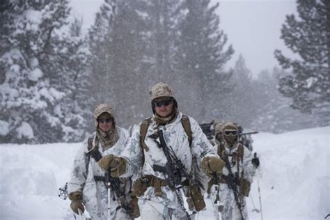 Us Steps Up Winter Warfare Training As Global Threat Shifts