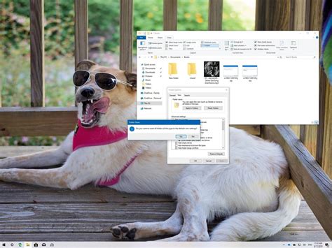 How To Reset Folder View Settings On Windows 10 File Explorer Windows