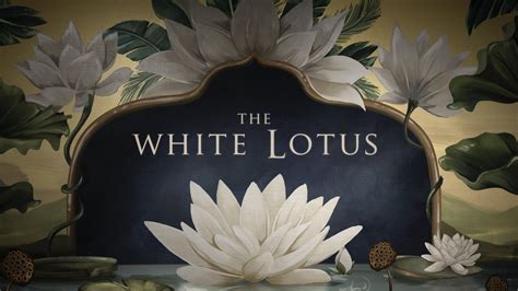 Hbo Renueva Su Serie Original The White Lotus Para Su Tercer Año