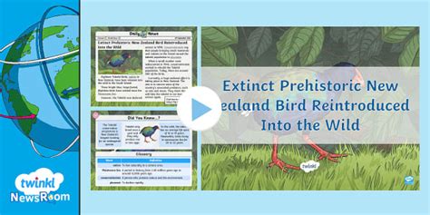 Extinct Prehistoric New Zealand Bird Reintroduced Into The Wild Twinkl
