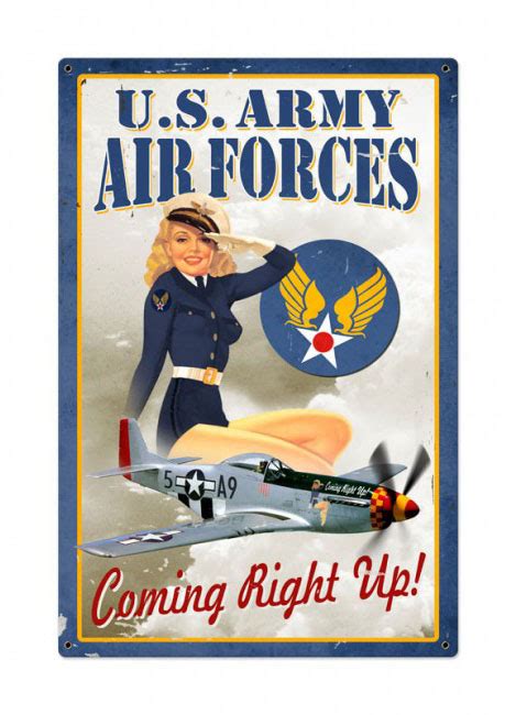 Air Force Pin Up