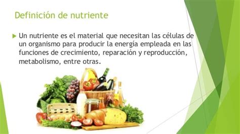 Nutrientes Y Sus Funciones En El Organismo